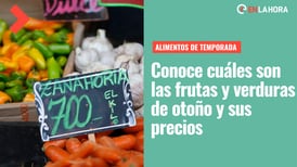 Frutas y verduras de otoño: Revisa los mejores alimentos de esta temporada en Chile y sus diferencias de precios en ferias y supermercados
