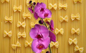 ¡No tires el agua de los fideos! Haz florecer tus orquídeas con este truco casero