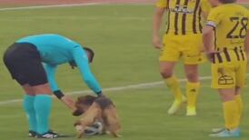 VIDEO | Fútbol chileno: Un perro entró a la cancha y se puso a jugar con el balón en el duelo entre Iberia y Fernández Vial