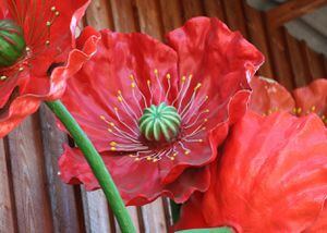 El Feng Shui y las plantas artificiales: ¿Por qué deberías evitarlas en tu hogar? 