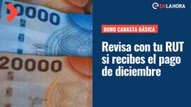 Bono Canasta Básica: Consulta con tu RUT cuándo se te hará el pago y cuánto se paga en diciembre