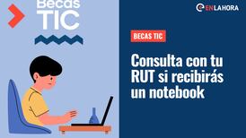 Becas TIC: Consulta con tu RUT si recibirás un notebook y otros implementos digitales