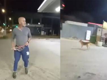 VIDEO  | Maltrato animal en Valparaíso: Hombre apedreó a un perro en una bencinera