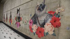 Metro de Santiago: Revisa cómo postular al concurso que tienen para transformar a tu gato o perro en rey o reina