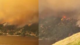 VIDEO | Incendio forestal en la Región del Bio Bio: Siniestro afectó a Santa Juana y Nacimiento