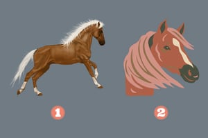 Test de Personalidad: Elige un caballo y averigua de dónde viene tu rabia