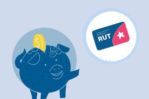 Conoce si recibes los $13.500 mensuales para comprar alimentos