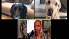 La divertida conversación virtual de un periodista y sus perros