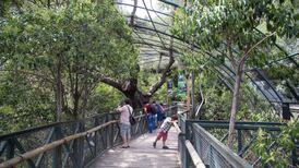 Así puedes conseguir entradas gratis para el Zoológico Metropolitano durante estas vacaciones