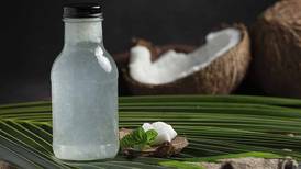 ¿Por qué beber agua de coco es saludable?