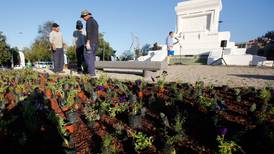 VIDEO | Así se inició la plantación de flores para remodelar la Plaza Baquedano
