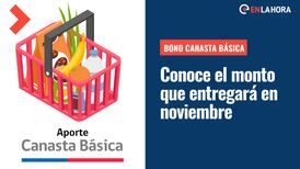 Bono Canasta Básica: ¿Qué montos entregará este aporte durante el mes de noviembre y cómo acceder a él?