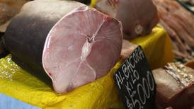 Fraude: Detectan venta de carne de tiburón en productos rotulados como albacora en pescaderías y ferias de Santiago