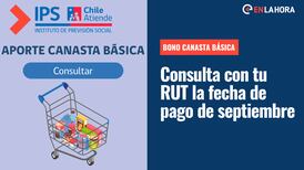 Bono Canasta Básica: Consulta con tu RUT si eres beneficiaria y cuál es tu fecha de pago en septiembre