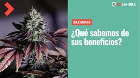Propiedades de la marihuana: ¿Qué sabemos de los beneficios de la cannabis?