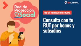 Red de protección Social: Solo con tu RUT o Clave Única puede revisar qué bonos te corresponden