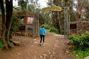 Parque Quebrada de Macul: Conoce cómo llegar y qué lugares puedes visitar|