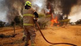 Por riesgo de incendios forestales: Activan botón rojo en 7 regiones del país
