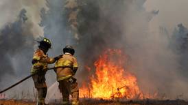 Incendio forestal afecta el sector de San Carlos de Apoquindo en Las Condes