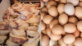 Gripe aviar en Chile: ¿Se puede comer huevos, pollo o pavo sin riesgo de contagio?