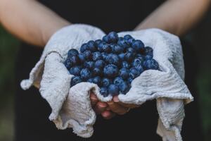 Previene el envejecimiento comiendo arándanos