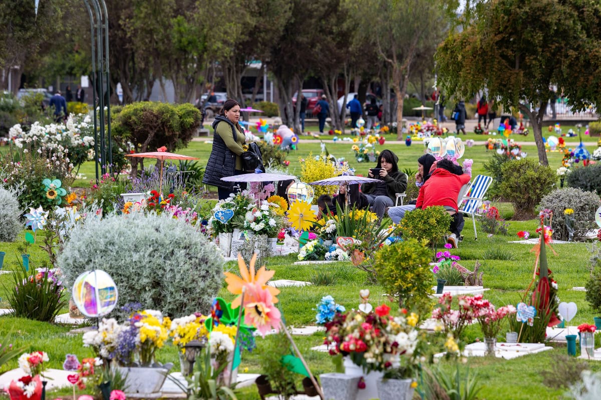 Los principales cementerios del país se llenan de visitantes en el Día de Todos los Santos, quienes acuden a visitar a sus seres queridos en su lugar de descanso eterno. Créditos: En esta fecha, muchas familias chilenas visitan a sus seres queridos en el cementerio para honrar sus vidas. Créditos: Edwin Navarro/Aton Chile.