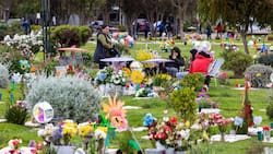 Cementerios de Santiago: dónde están ubicados los principales parques para visitar este 1 de noviembre