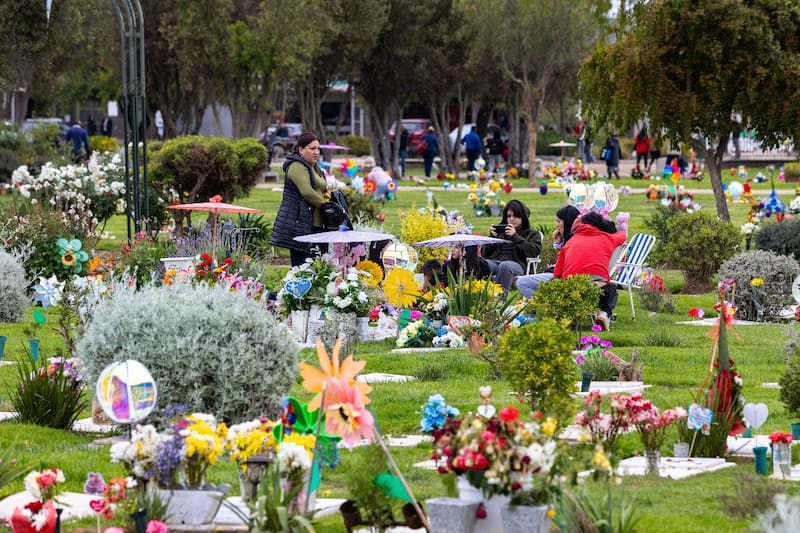 Los principales cementerios del país se llenan de visitantes en el Día de Todos los Santos, quienes acuden a visitar a sus seres queridos en su lugar de descanso eterno. Créditos: En esta fecha, muchas familias chilenas visitan a sus seres queridos en el cementerio para honrar sus vidas. Créditos: Edwin Navarro/Aton Chile.