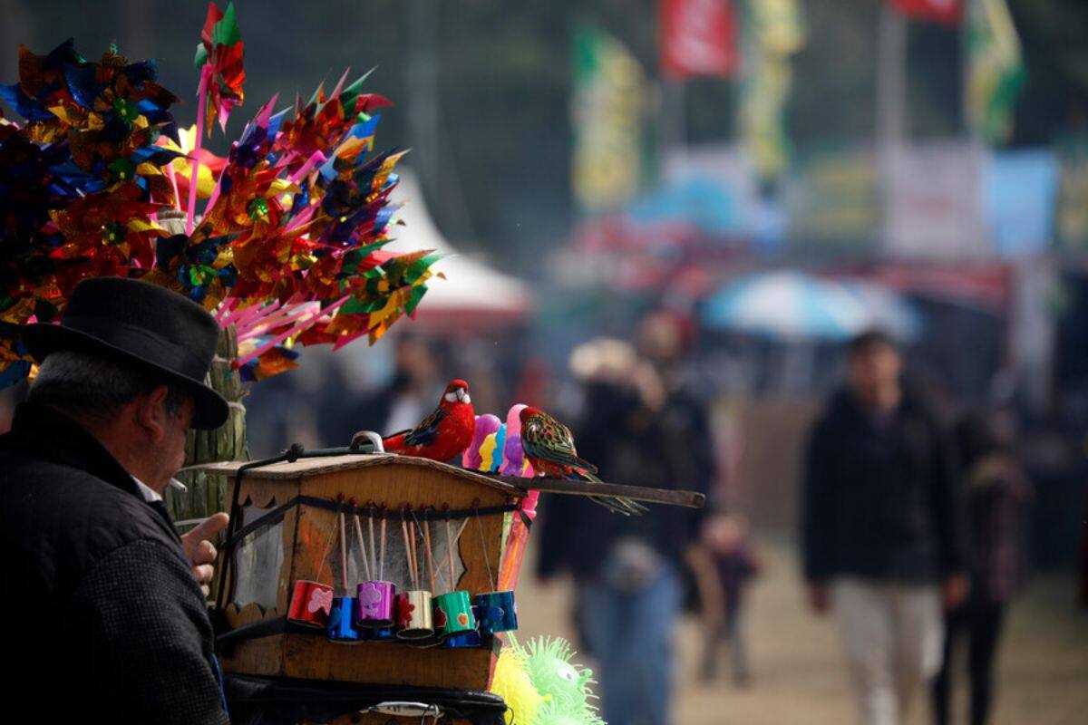 Revisa qué se celebra este día.