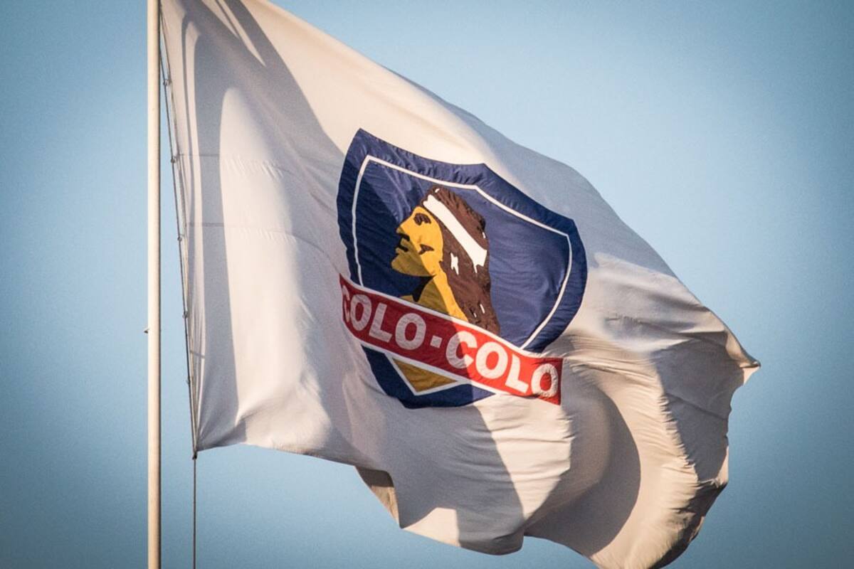 1_colocolo_bandera_mapuche