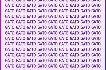 Test Visual: ¿Puedes encontrar la palabra diferente a GATO oculta en la imagen? Tienes 10 segundos