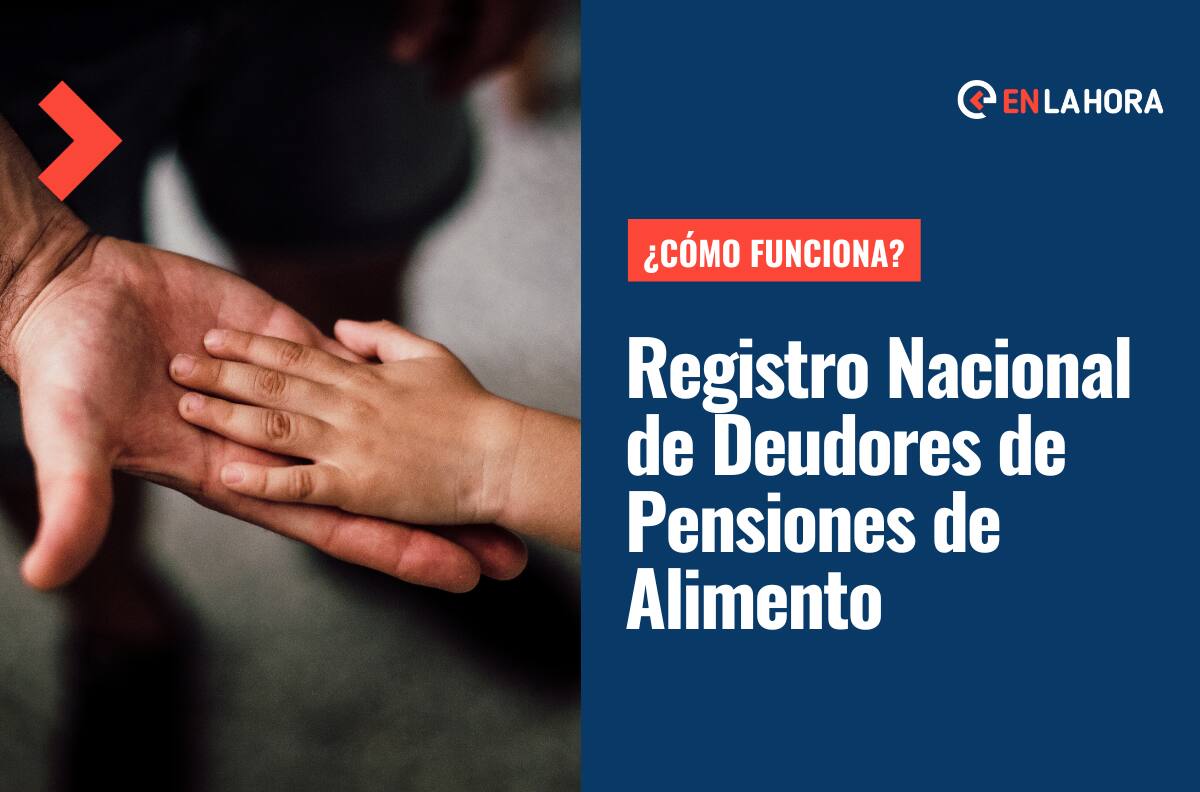 Registro Nacional de Deudores de Pensión de Alimentos: Cómo funciona y qué datos tendrá