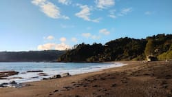 Panorama romántico perfecto para escaparse en Valdivia durante San Valentín