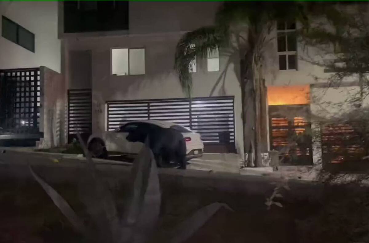 VIDEO | Como si fuera su casa: Captan a gigantesco oso negro paseándose en Monterrey y dejó un "regalito"