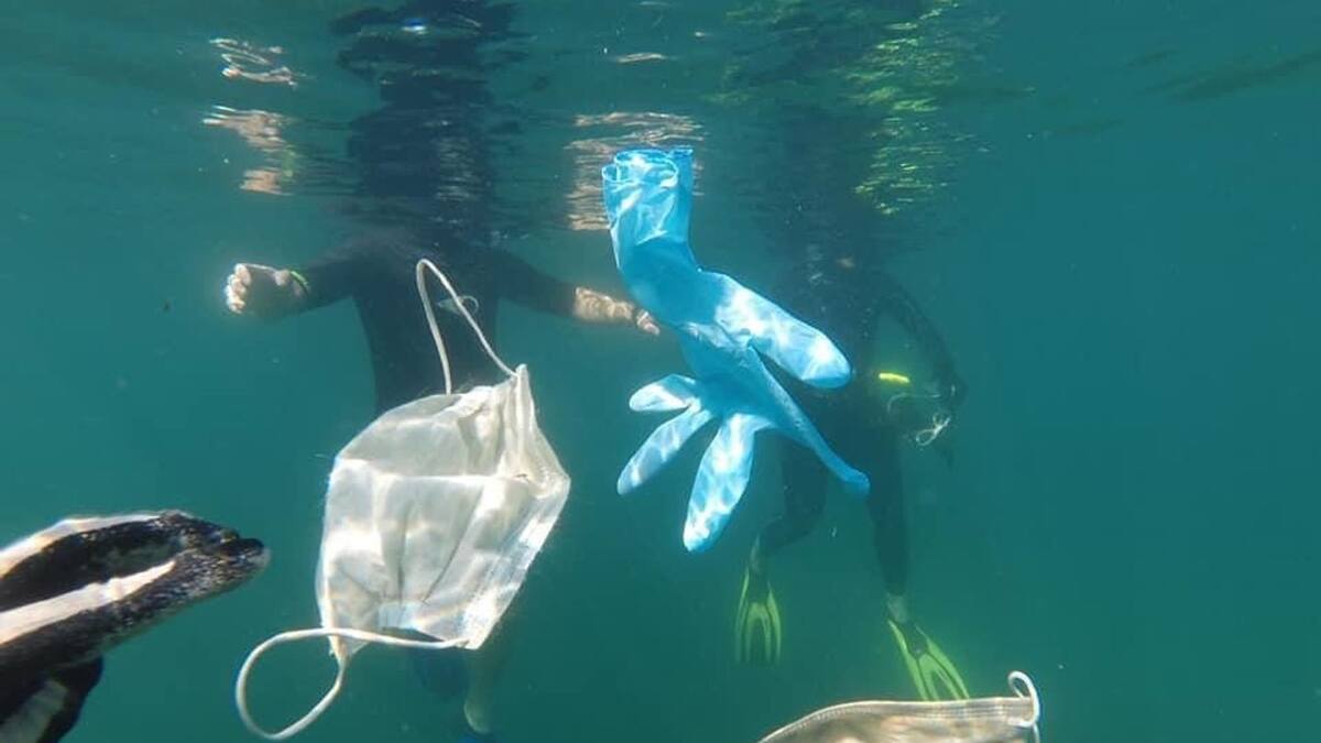 Efectos del Covid-19: Mascarillas terminan en el mar y generan más de ocho toneladas de basura
