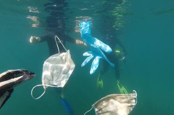 Efectos del Covid-19: Mascarillas terminan en el mar y generan más de ocho toneladas de basura