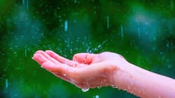 Sistema frontal afectará a seis regiones del sur de Chile: Podrían caer hasta 100 milímetros esta semana