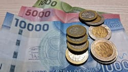 Revisa con tu RUT si recibes el bono de $28.000 que entrega el Estado a familias vulnerables