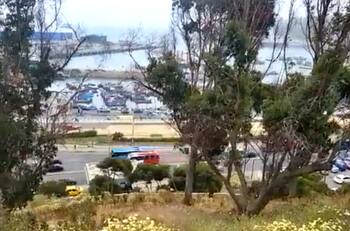 VIDEO | Locomoción colectiva se suma al paro de camioneros en San Antonio: Más de 500 maquinas se paralizarán