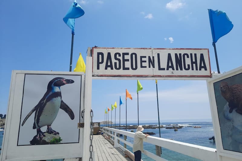 Tiene un valor de $7.000 por persona.
Créditos: Daniela Jerez.