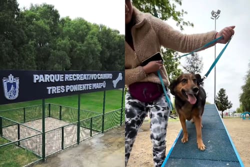 El recinto está instaurado al interior del Parque Tres Poniente de la comuna. Créditos: Municipalidad de Maipú.