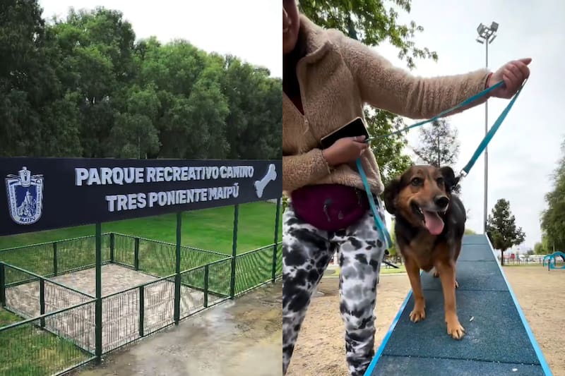 El recinto está instaurado al interior del Parque Tres Poniente de la comuna. Créditos: Municipalidad de Maipú.