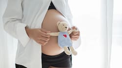 Gobierno de Chile anuncia proyecto de ley de fertilización asistida: ¿En qué consiste?