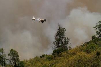 Onemi ordena evacuar sectores de Melipilla por incendio forestal: Activó mensajería SAE