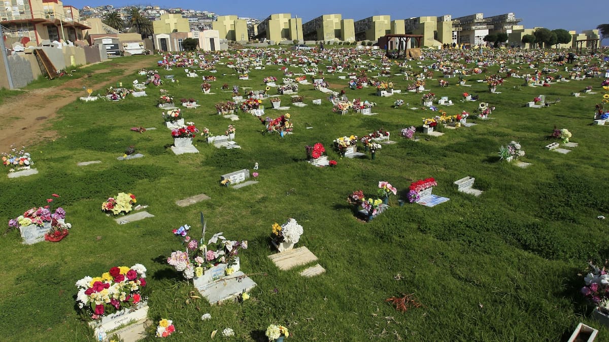 Plan Paso a Paso: Revisa cómo será el nuevo funcionamiento de los cementerios en cada Fase