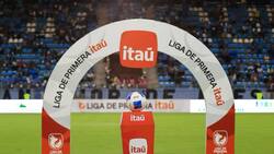 Atención: a partir de este día el Registro Nacional de Hinchas será obligatorio en el Campeonato Nacional