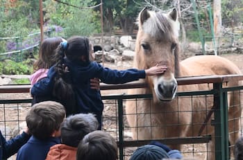 ¿Tus hijos aman a los animales?: Granja Aventura invita a disfrutar de una experiencia única en el Día del Niño