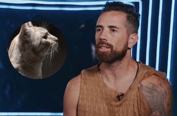 ¡No tuvieron piedad! Las feroces críticas contra Daúd Gazale por su trato hacia el gato de Mundos Opuestos