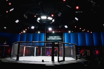 Dana White's Contender Series: Las cuatro nuevas estrellas que firmaron contratos con la UFC