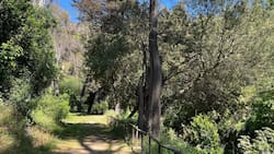 Tiene un anfiteatro natural y senderos ocultos: el pulmón verde de Valparaíso que puedes visitar gratis en Semana Santa